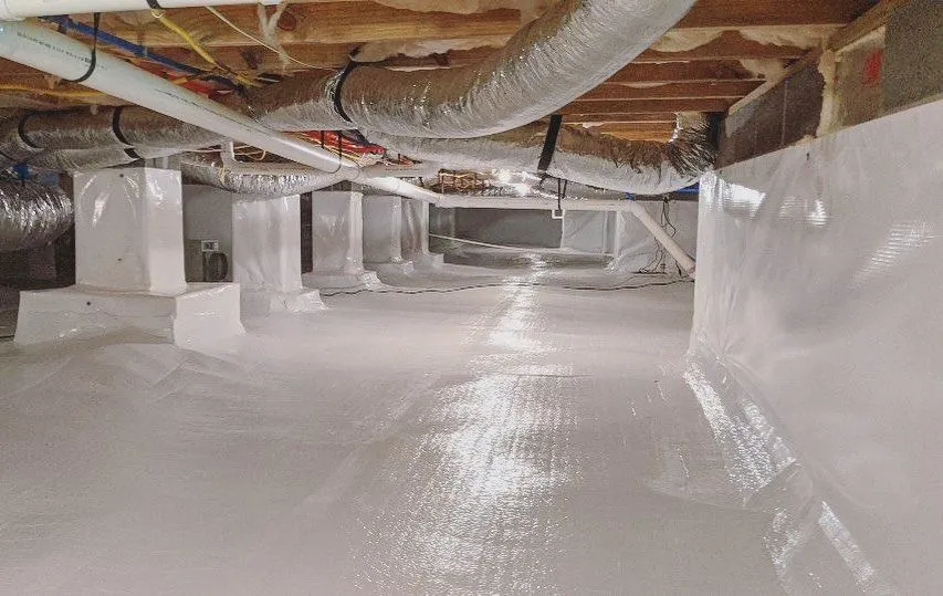 How Proper Crawl Space Encapsulation Can Prevent Pest Infestations--prolific inspection