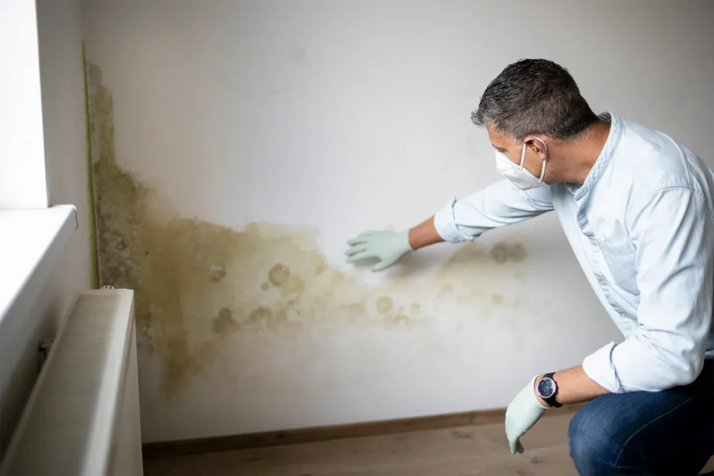 How to Address Mold Problems After a Positive Test Result