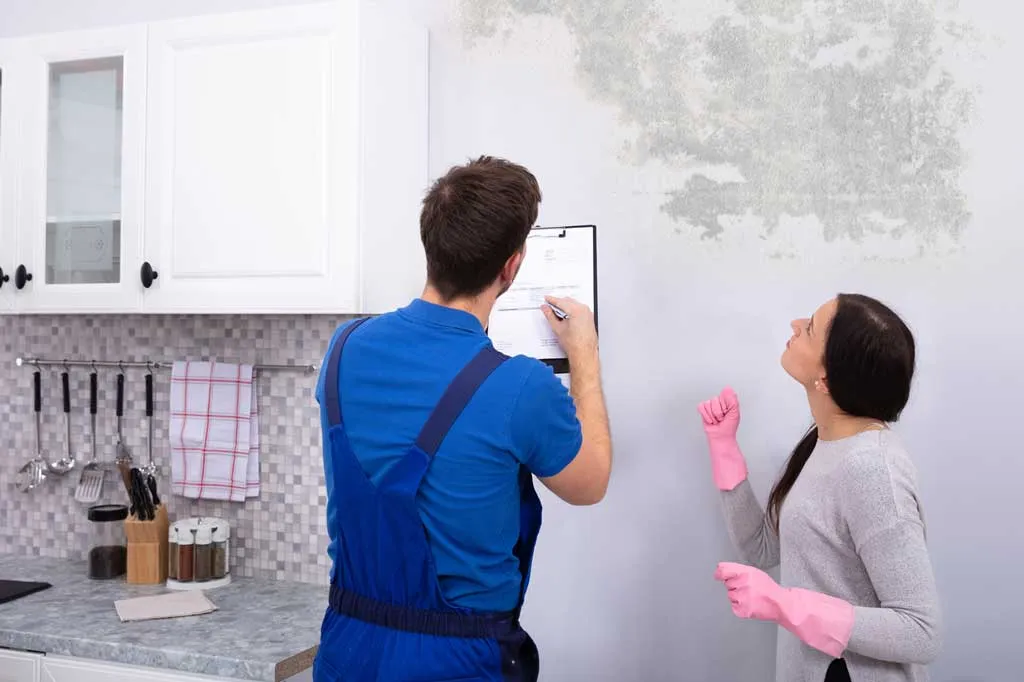 How to Address Mold Problems After a Positive Test