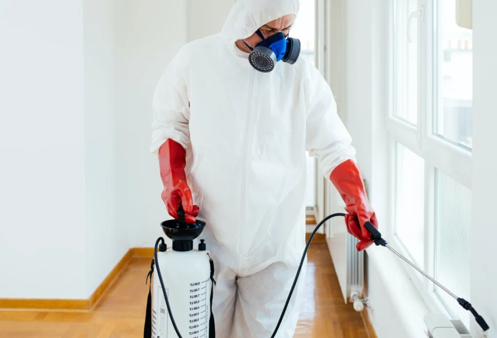 How Our Termite Damage Repair Experts Restore-Your Home Quickly