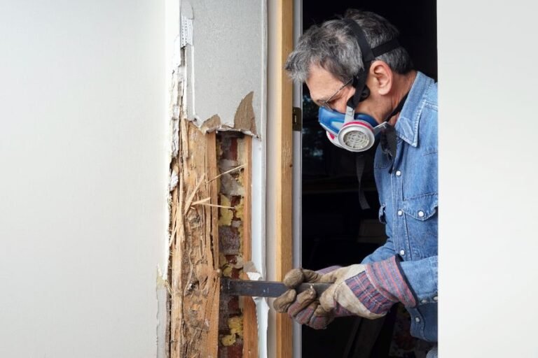 How Our Termite Damage Repair Experts Restore Your Home Quickly