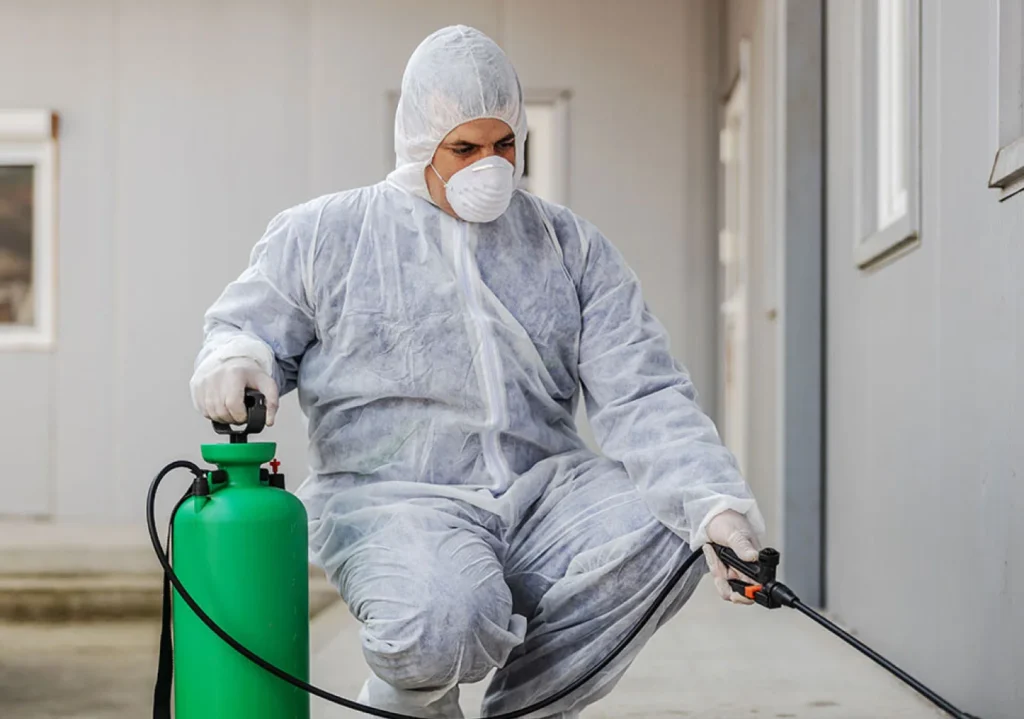 What Sets a Trusted Termite Control Company-Apart from Others