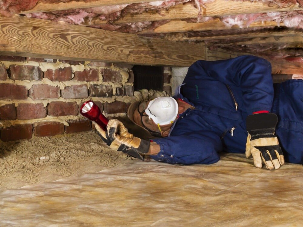 Why Choose a Professional Termite Control Contractor for Your-Property