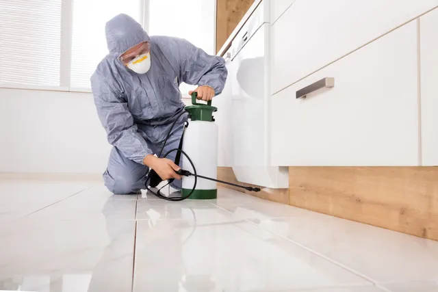 Why Choose a Professional Termite Control Contractor for-Your-Property