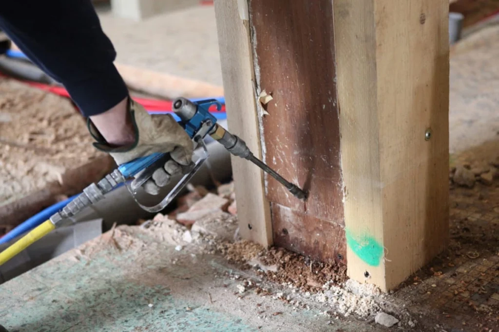 How to Find the Best Termite Damage Repair Services Near-You