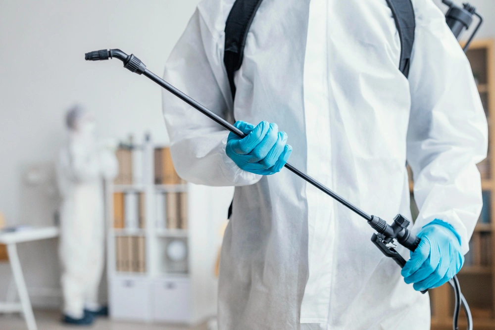 What to Expect from a Local Termite Control-Company