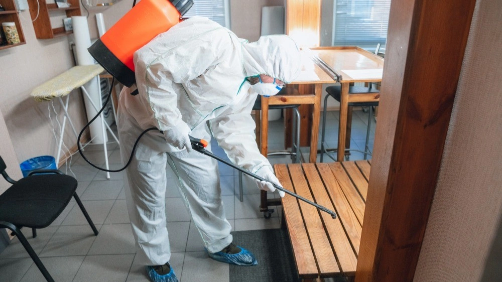 Why Local Termite Inspectors Are Important for Property-Safety