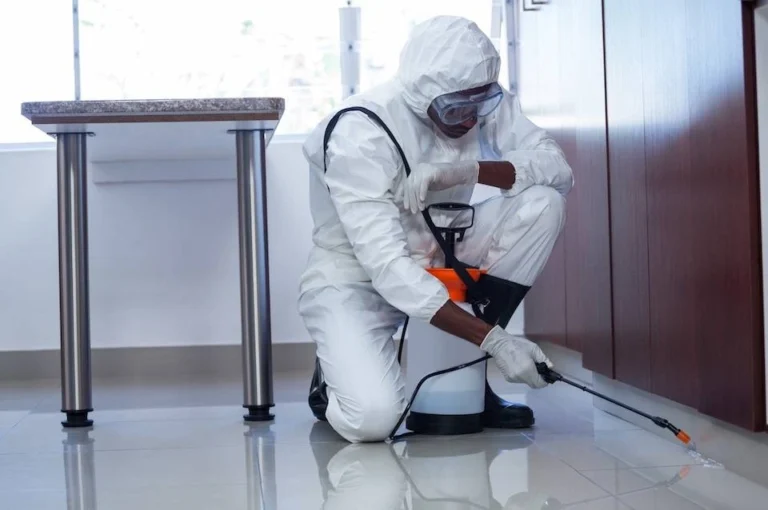 Why Local Termite Inspectors Are Important for Property Safety