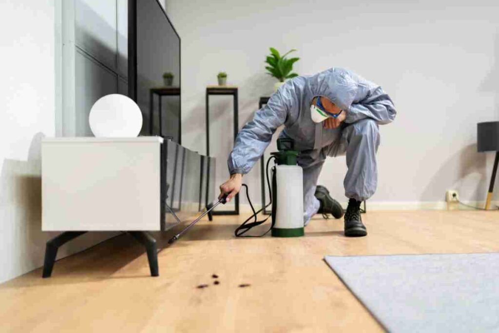 Can New Construction Homes Get Pest-Problems