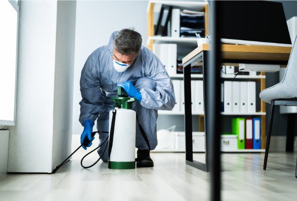Do I Need Pest Control If I Don’t See Any-Bugs