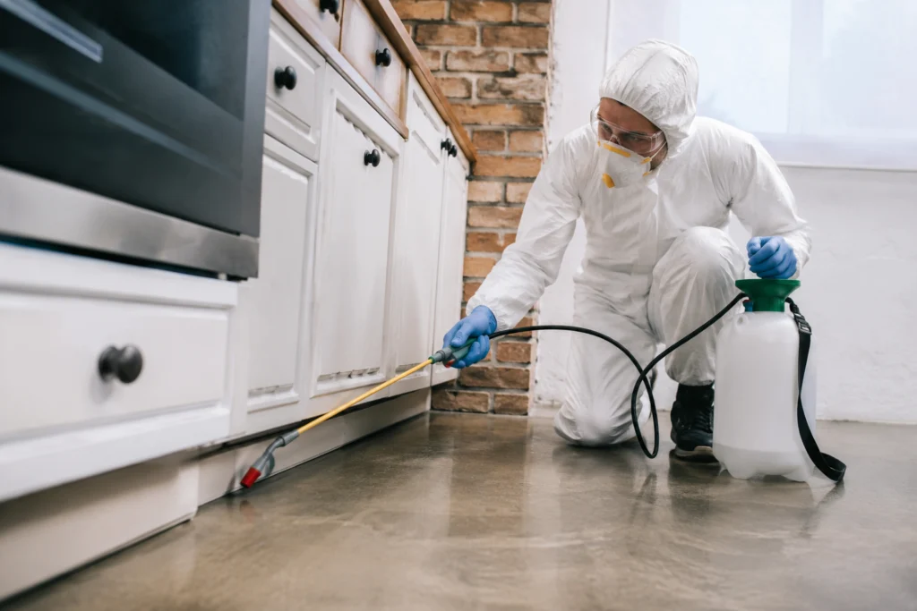How Can Homeowners Find Termite Inspection Services in Danville-CA