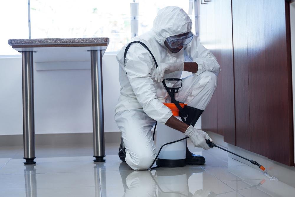 Why Am I Still Seeing Pests After a Professional Pest Control-Treatment