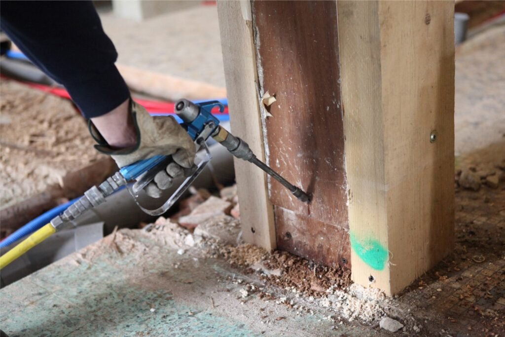What Should You Know About Termite Control in-Dublin-CA